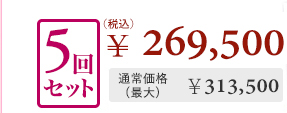 5回セット¥269,500 通常価格(最大)¥313,500