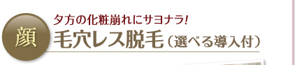 顔夕方の化粧崩れにサヨナラ！毛穴レス脱毛（選べる導入付き）