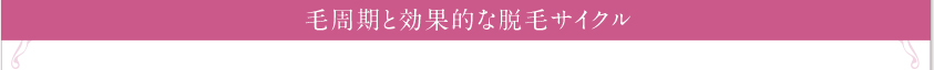 「最大の効果を安全に」が医療レーザー脱毛です