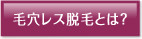 毛穴レス脱毛とは