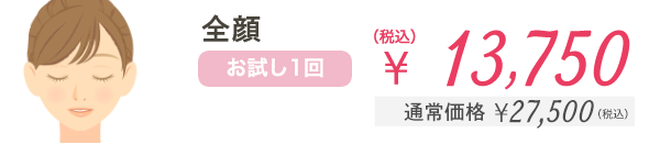 全顔 お試し1回 ¥13,750（税込） 通常価格¥27,500