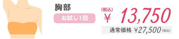 胸部 お試し1回 ¥13,750（税込） 通常価格¥27,500