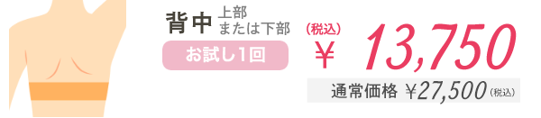 背中 (上部または下部) お試し1回 ¥13,750（税込） 通常価格¥27,500
