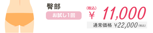 臀部 お試し1回 ¥11,000（税込） 通常価格¥22,000