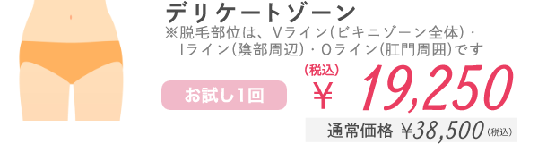 デリケートゾーン ※脱毛部位は、Vライン(ビキニゾーン全体)・Iライン(陰部周辺)・Oライン(肛門周囲)です お試し1回 ¥19,250（税込） 通常価格¥38,500