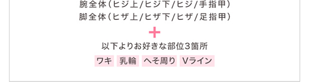 全身脱毛フルプラン