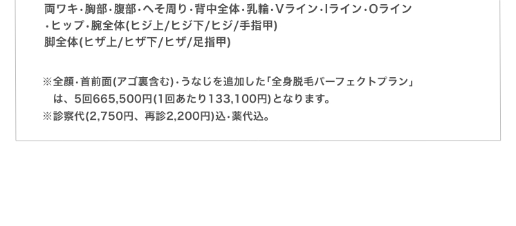 全身脱毛フルプラン